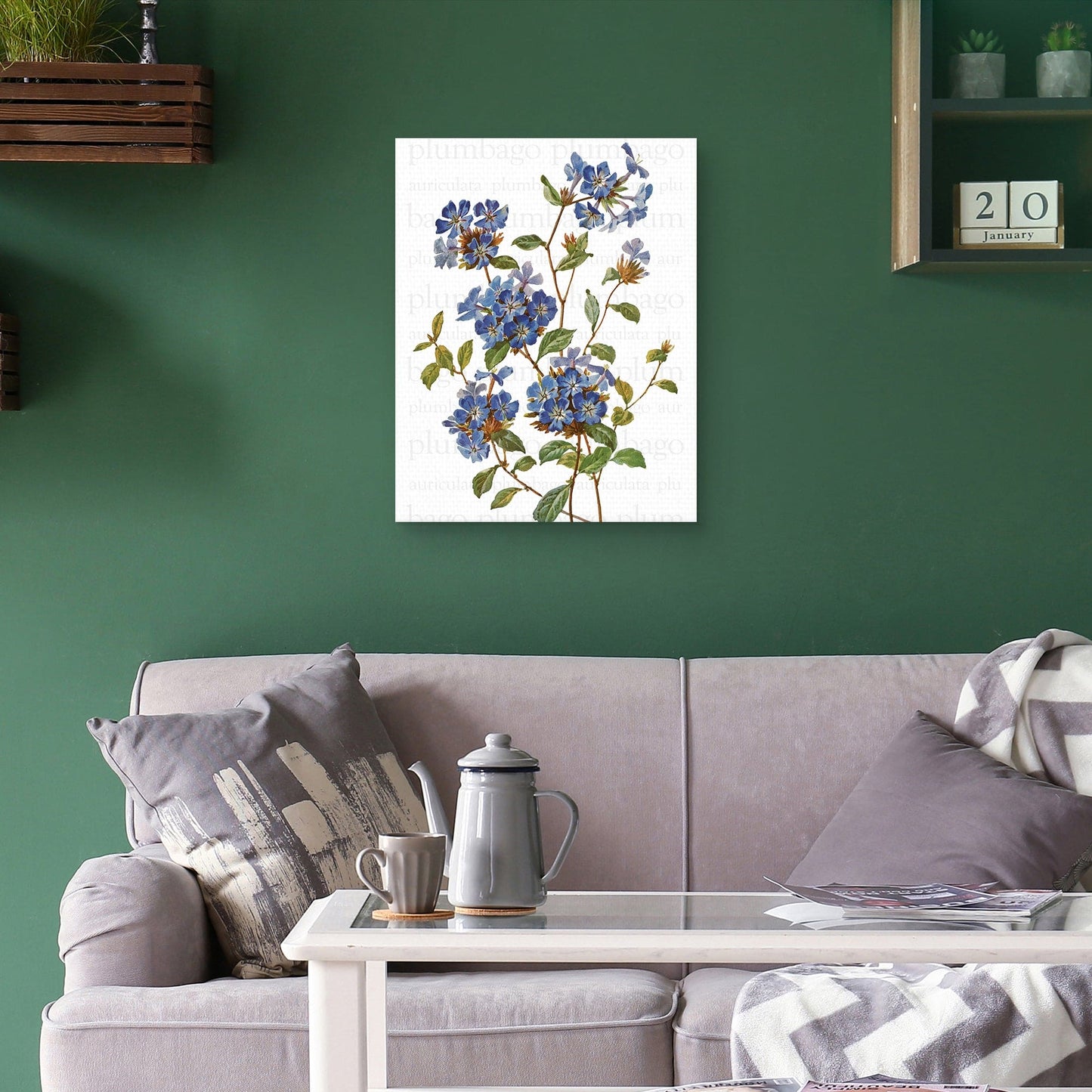 Texto de Plumbago chino - Design Lab