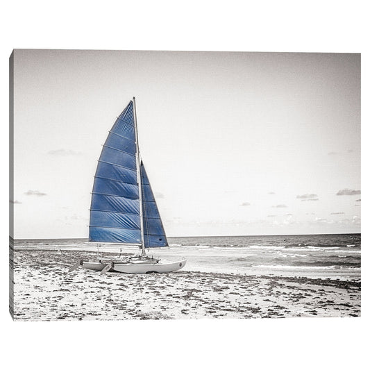 Catamaran azul B&N - Flo Minton