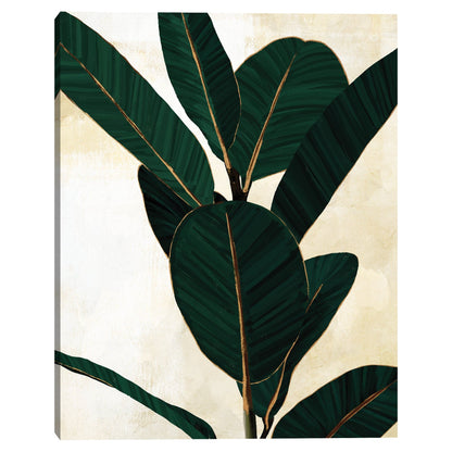 Verde simple - Belle Maison