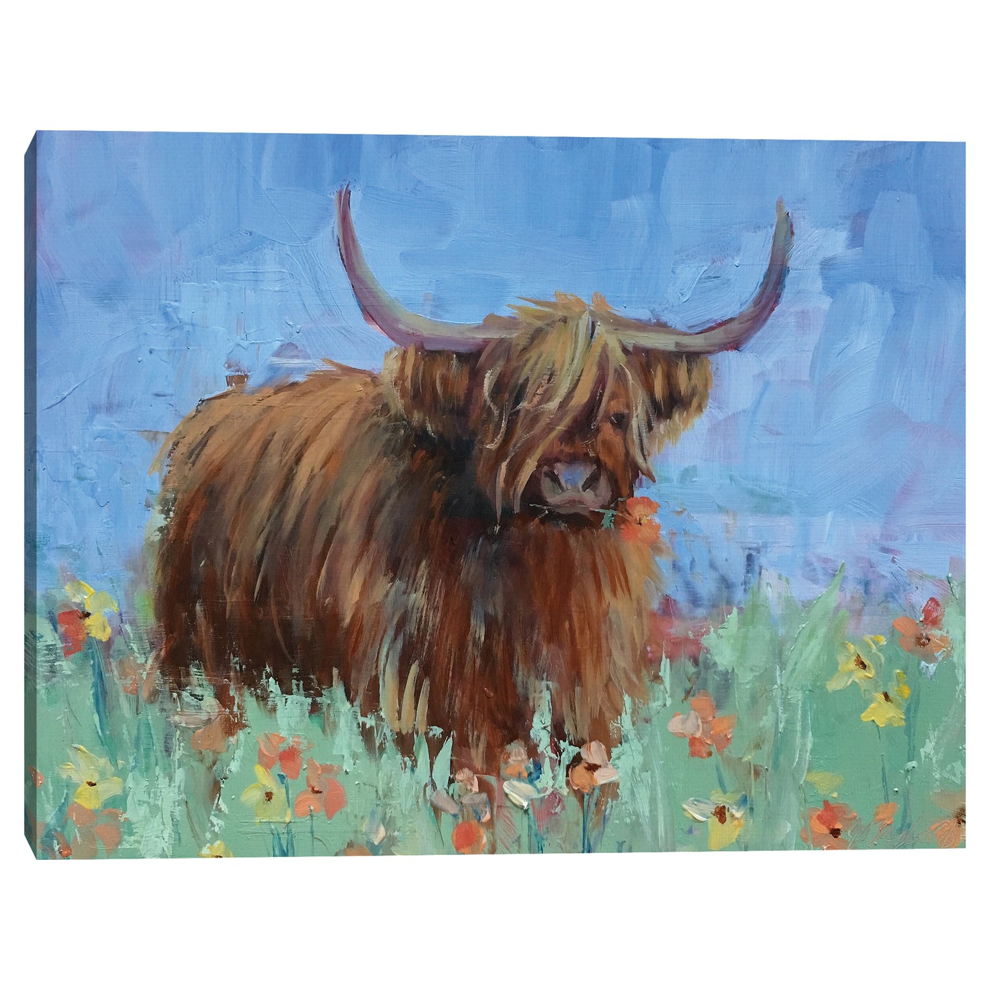 Vaca de las Tierras Altas Escocesas - Jennifer Stottle Taylor