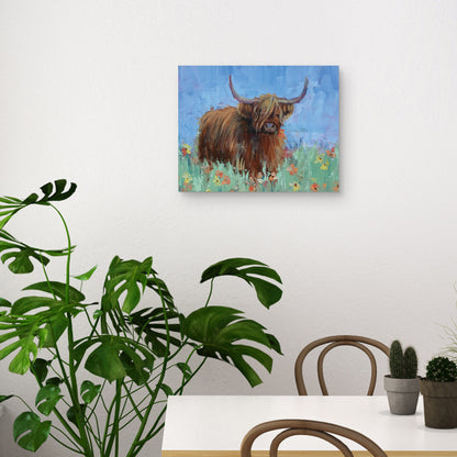 Vaca de las Tierras Altas Escocesas - Jennifer Stottle Taylor