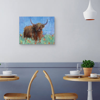 Vaca de las Tierras Altas Escocesas - Jennifer Stottle Taylor