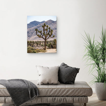 Arbol de Josue #12 - Christine Beadnell