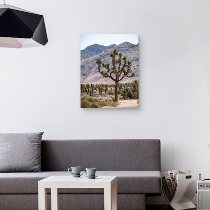 Arbol de Josue #12 - Christine Beadnell