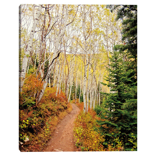 Ruta de caida - Bruce Nawrocke