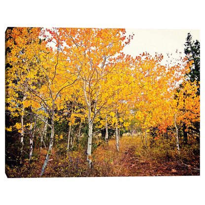 Otoño Bound - Bruce Nawrocke