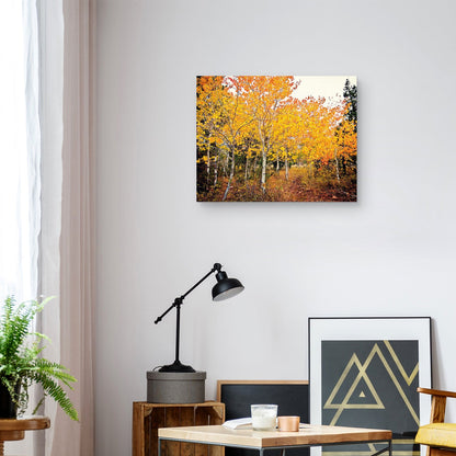 Otoño Bound - Bruce Nawrocke
