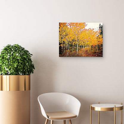 Otoño Bound - Bruce Nawrocke