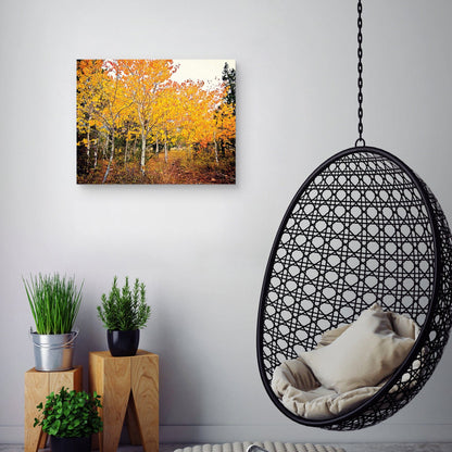 Otoño Bound - Bruce Nawrocke