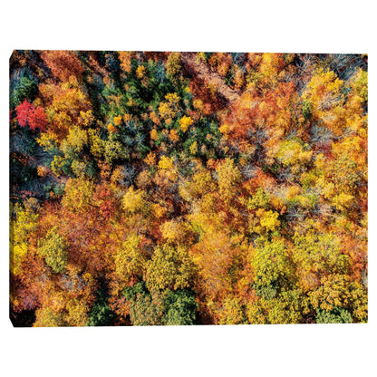 Otoño aereo - Jason Veilleux