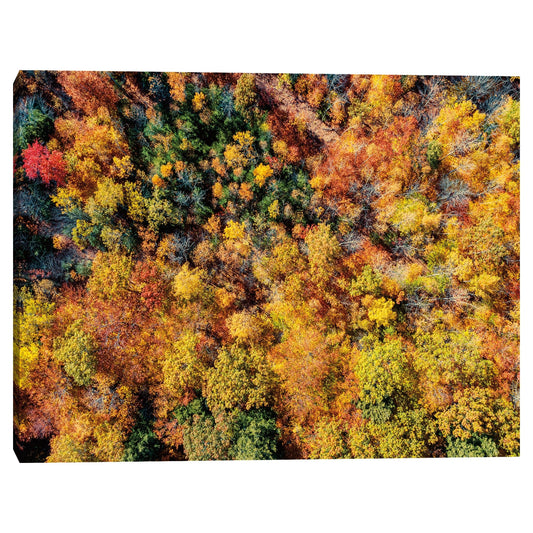 Otoño aereo - Jason Veilleux