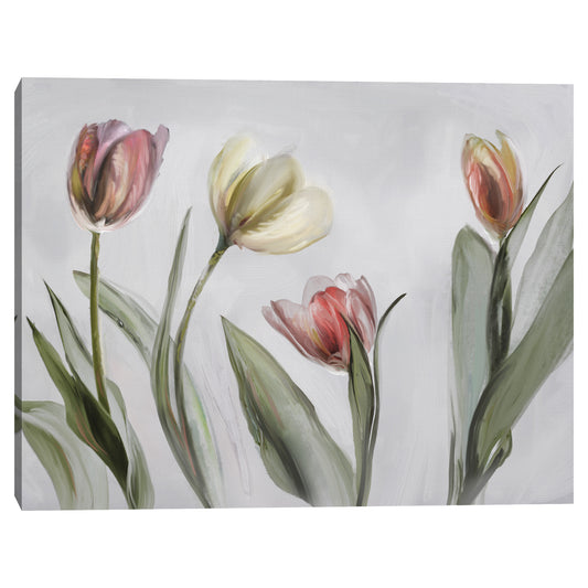 Tulipanes - Studio Arts