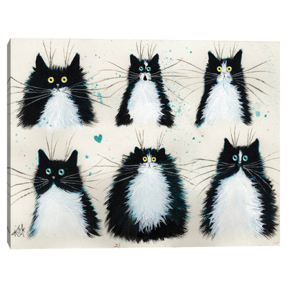 Gatos de esmoquin - Kim Haskins
