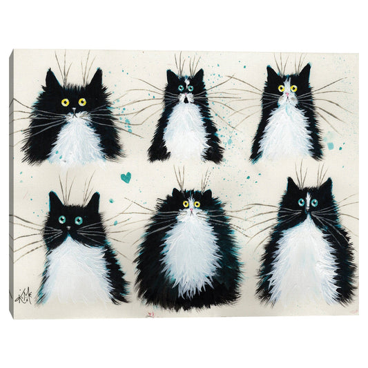 Gatos de esmoquin - Kim Haskins