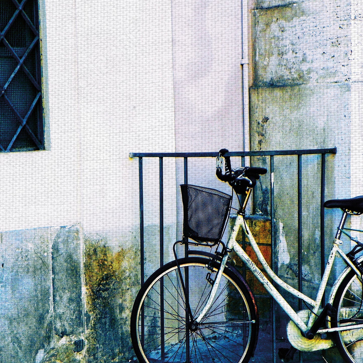 Ciclismo en Italia - Graffi-tee Studios