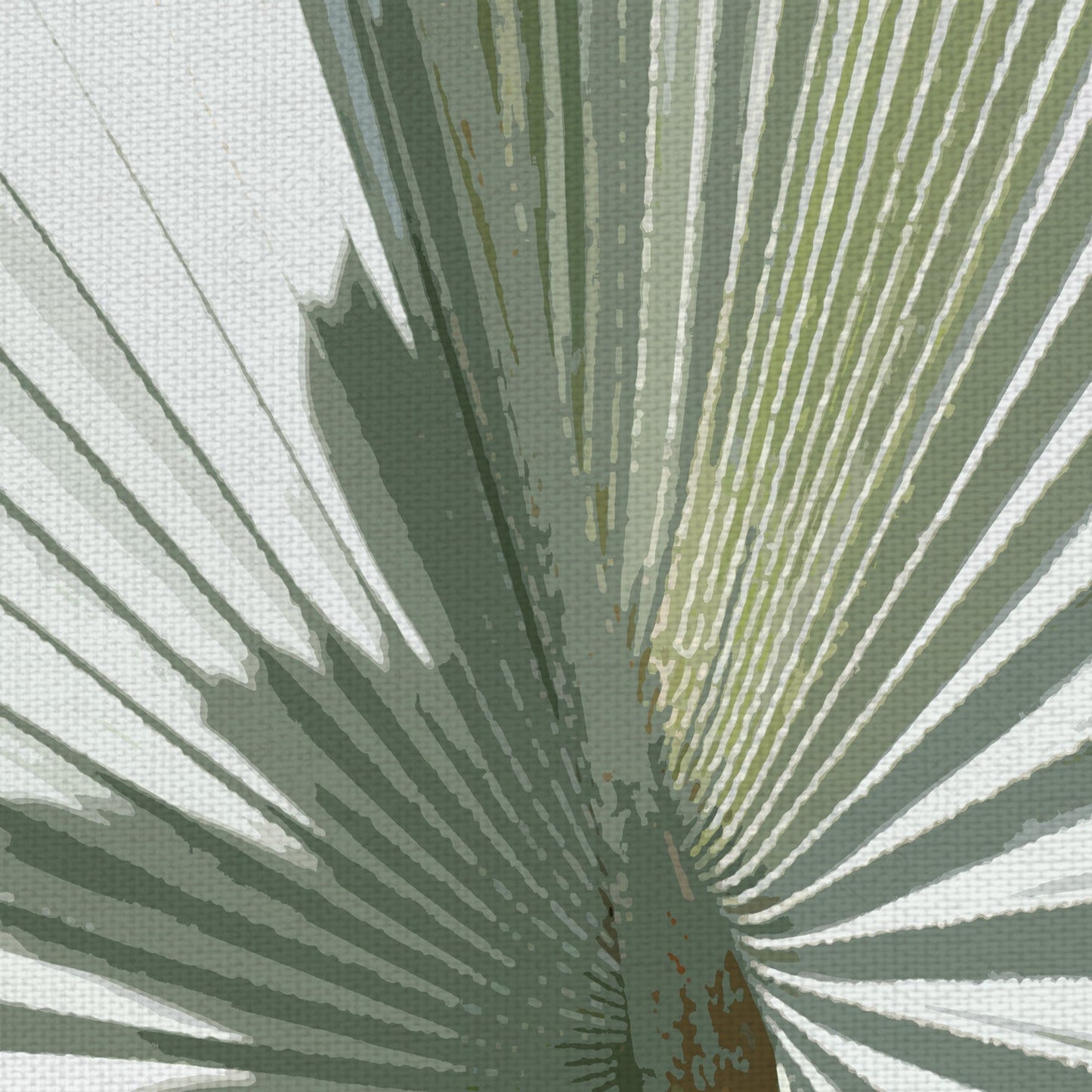Cultivo de Fronda de Palma II - Noah Bay