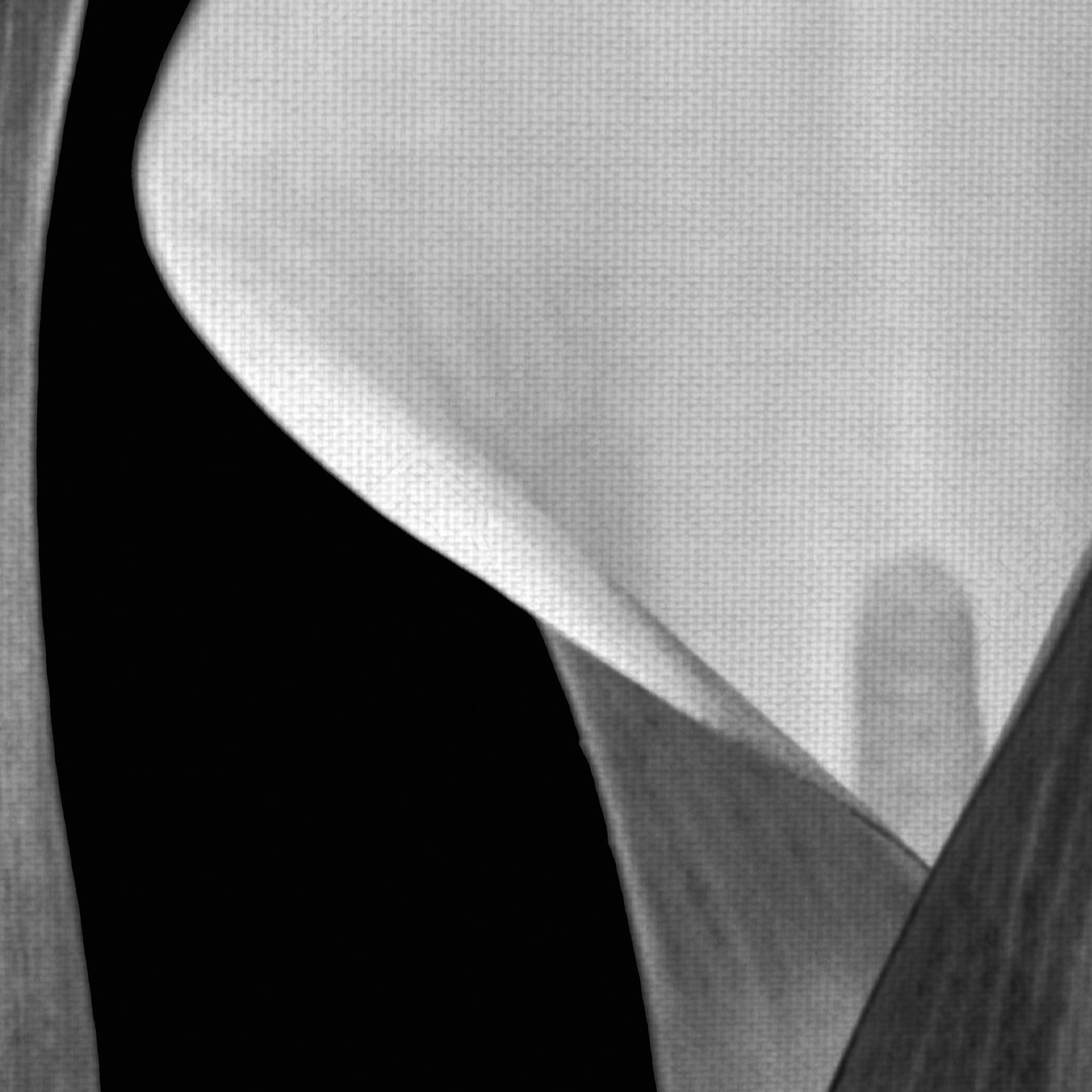 Floral sin título I - Michael Faragher