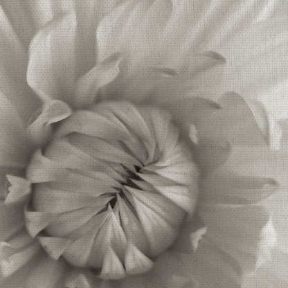 Florison III - Alan Blaustein