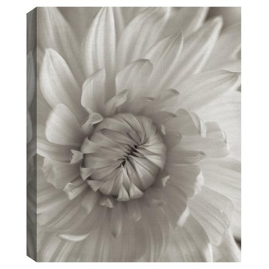 Florison III - Alan Blaustein