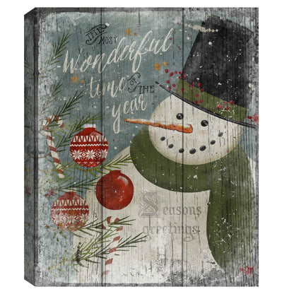 Muñeco de nieve maravilloso - Beth Albert