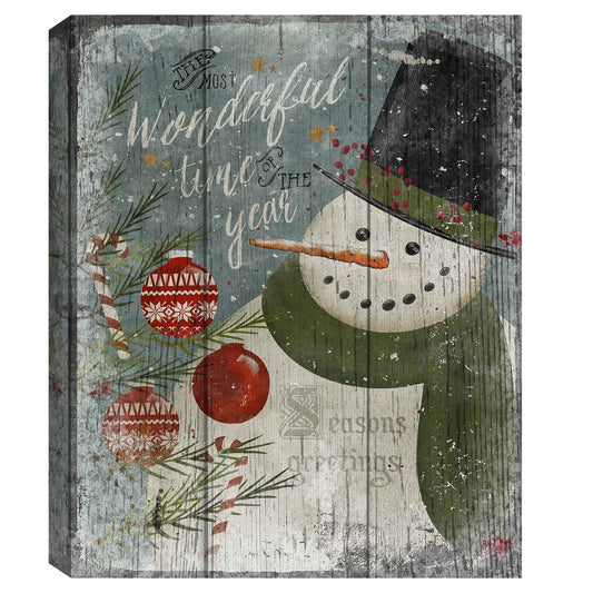 Muñeco de nieve maravilloso - Beth Albert