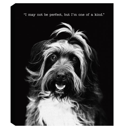 Margo con texto - Compawssion