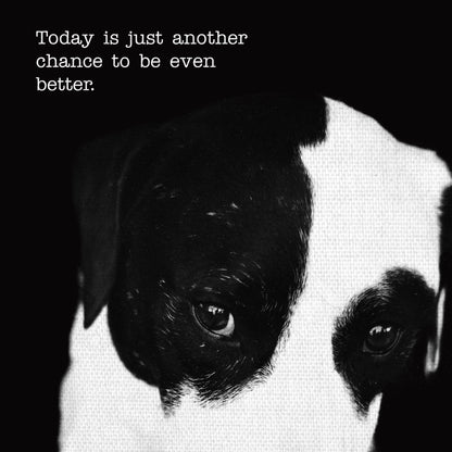 Petey con texto - Compawssion