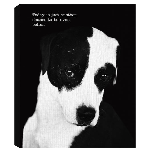Petey con texto - Compawssion