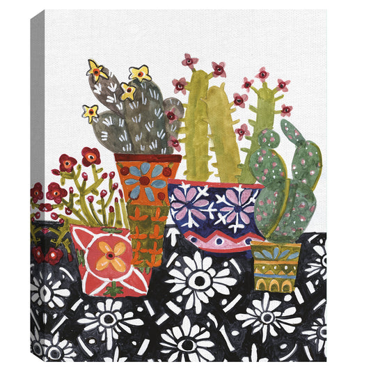 Cactus sobre blanca y negra - Sharon Nullmeyer