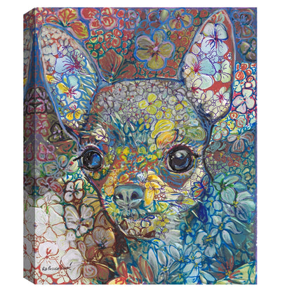 Chihuahua - Randy Riccobonis