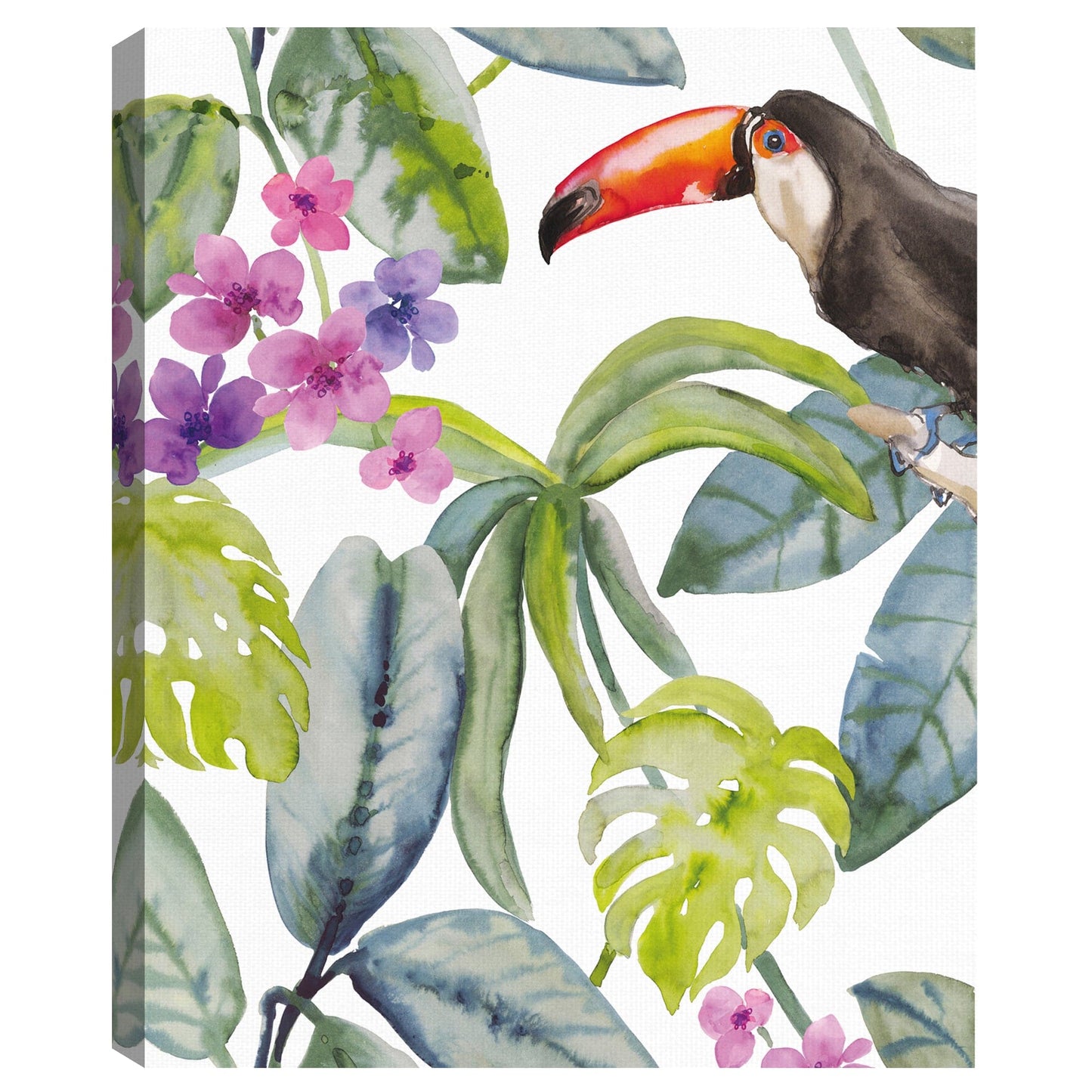 Tucan Ocultar - Sandra Jacobs