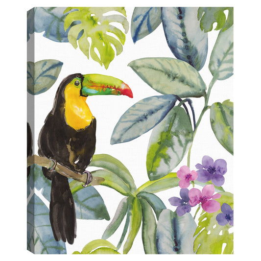 Tucan Buscar - Sandra Jacobs