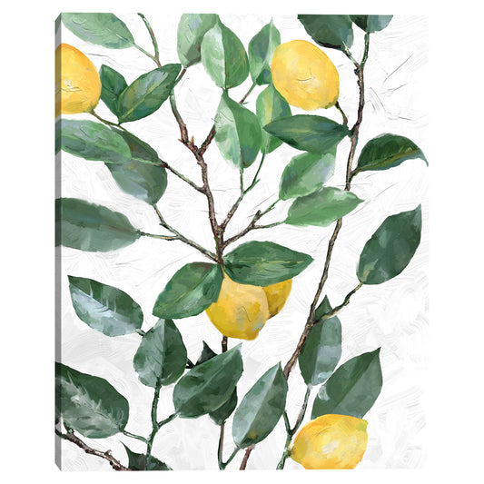 Limonero - Studio Arts