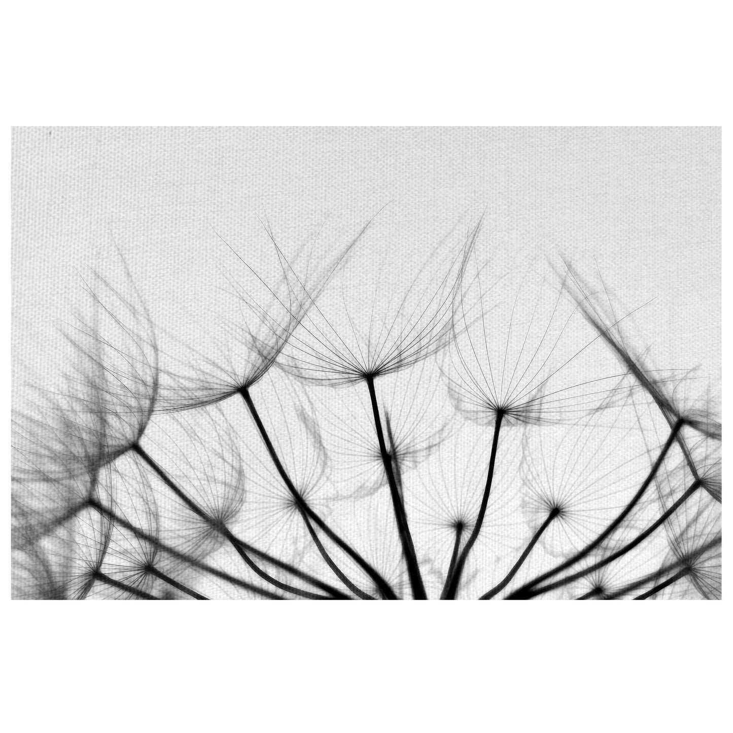 Susurros - Ilona Wellmann