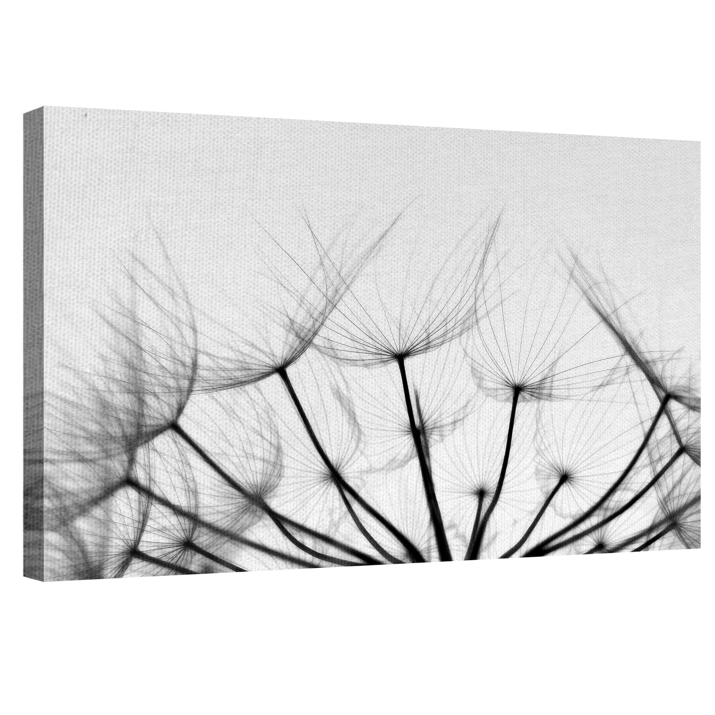 Susurros - Ilona Wellmann