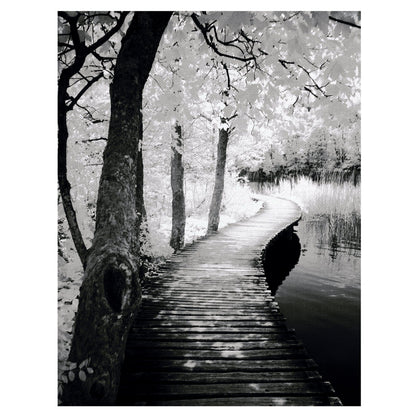 Dar un paseo - Ilona Wellmann