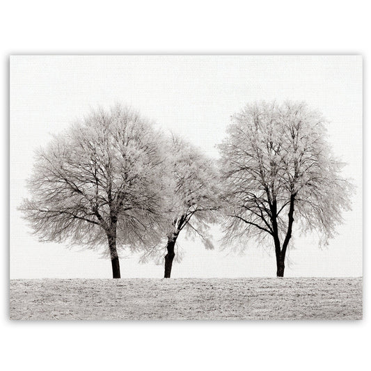 Tres Arboles - Ilona Wellmann