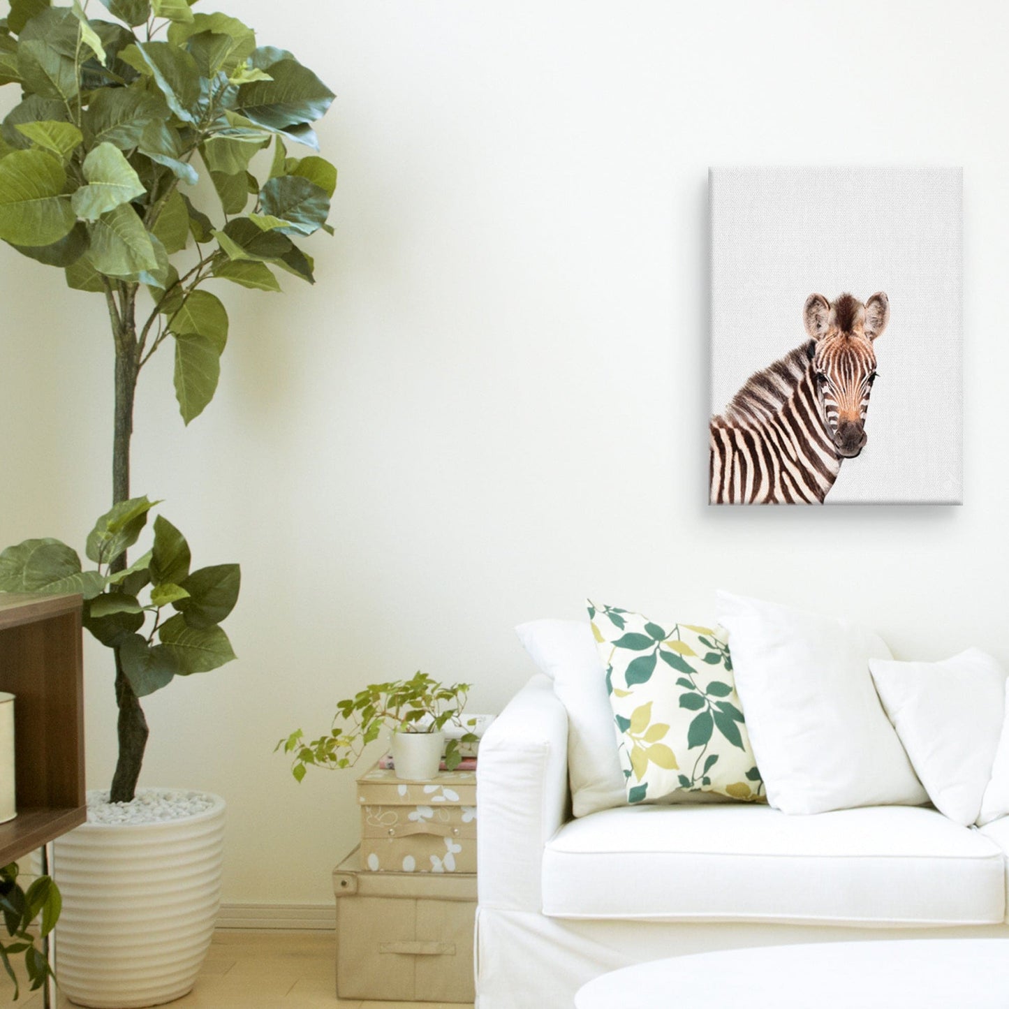 Cebra bebe - Tai Prints