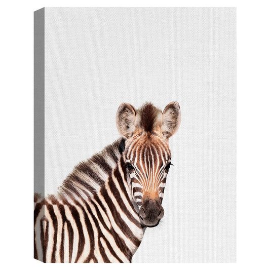 Cebra bebe - Tai Prints
