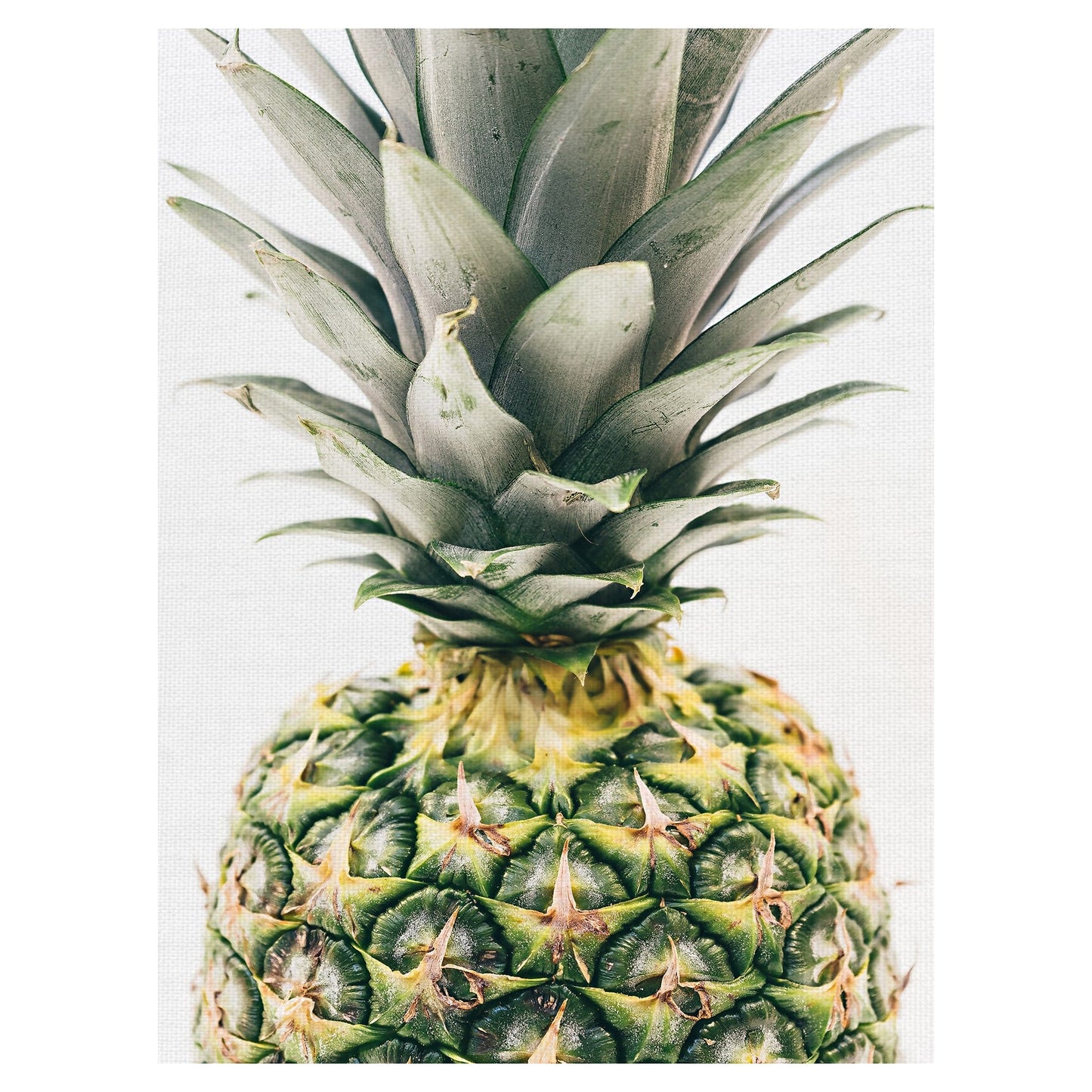 Primer plano de la pina - Pineapple Supply Co