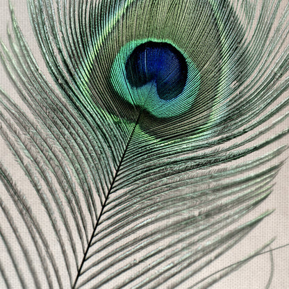 Plumas nu I - Alan Blaustein