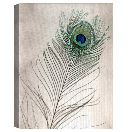 Plumas nu I - Alan Blaustein