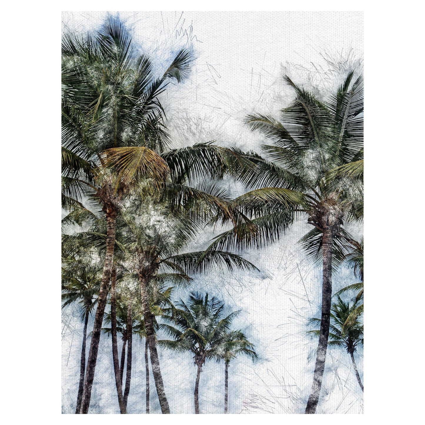 Palmas Dorado  II - Golie Miamee