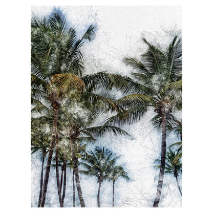Palmas Dorado  II - Golie Miamee