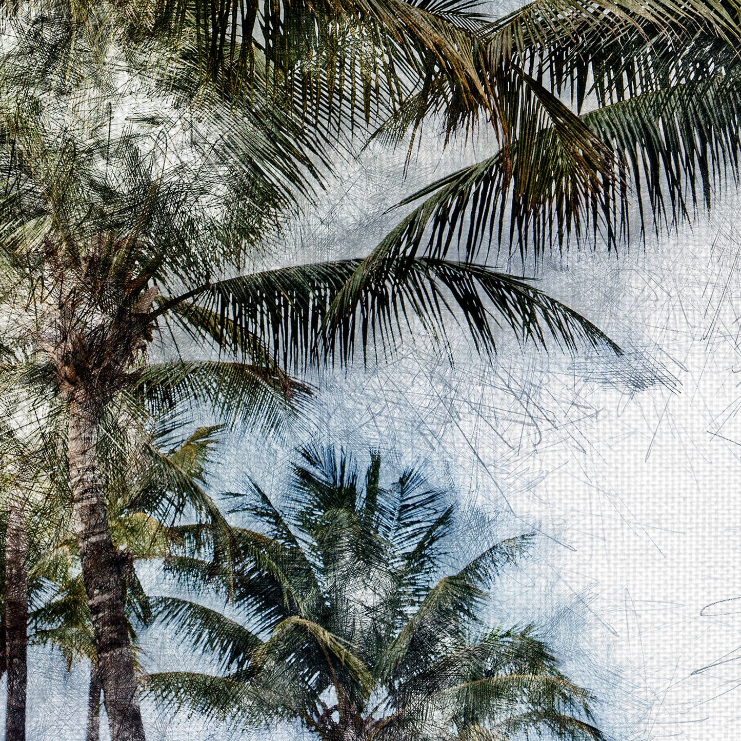 Palmas Dorado  II - Golie Miamee