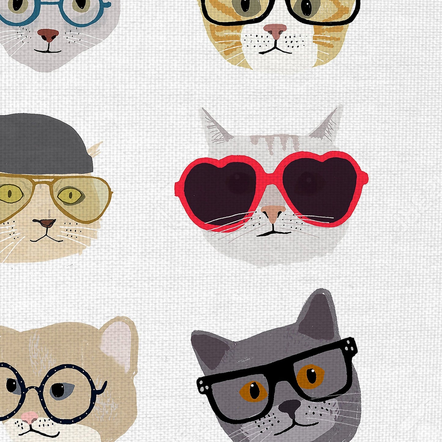 Gatos con gafas - Hanna Melin