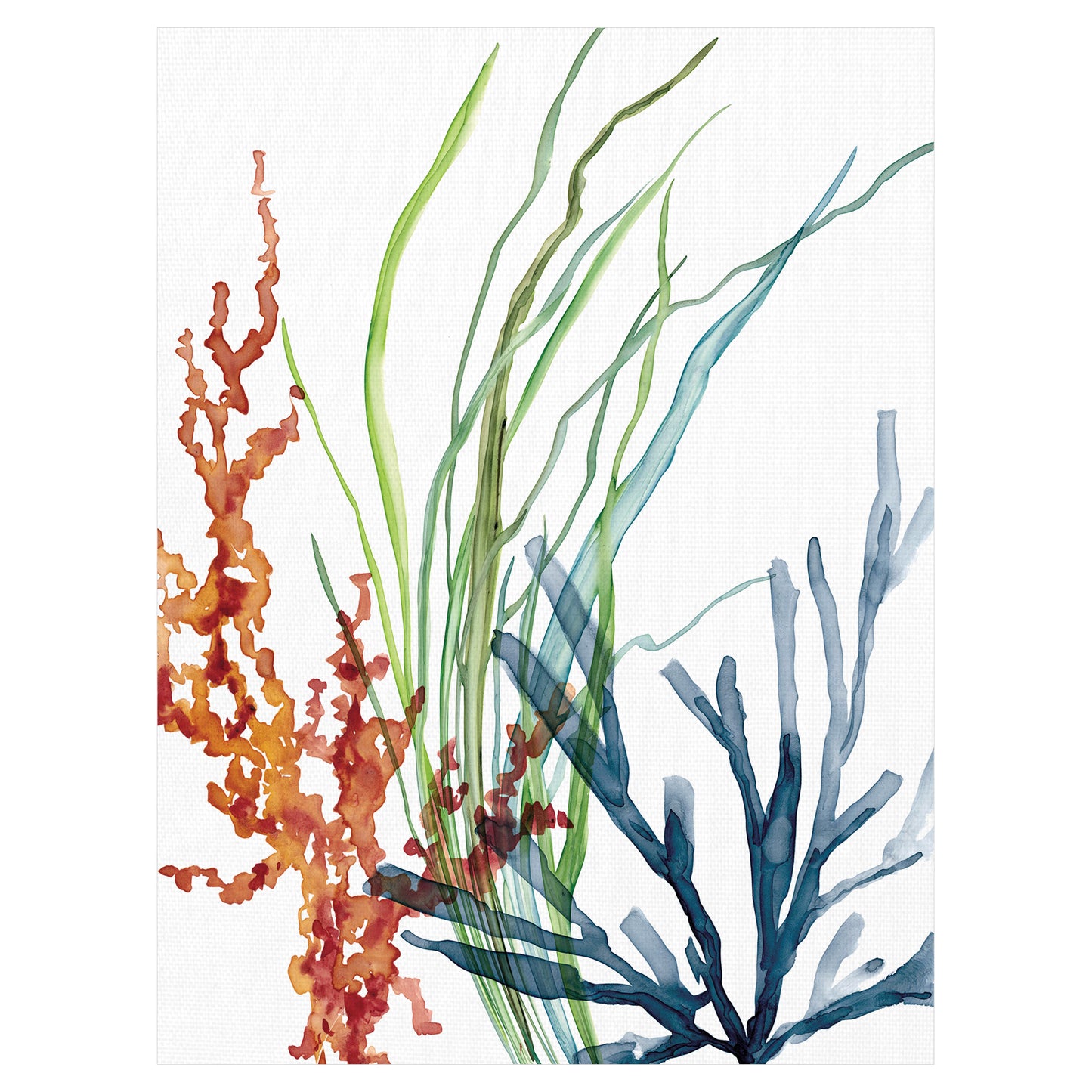 Magia Oceanica I - Carol Robinson