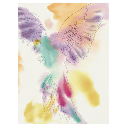 Vuelo de loro del paraíso - Kristine Hegre
