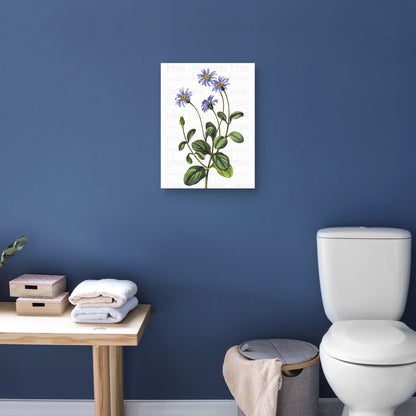 Texto de Blue Cineraria - Design Lab