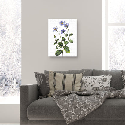 Texto de Blue Cineraria - Design Lab